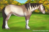 Horse Color:White Spotted Classic Champagne Onyx Sabino 