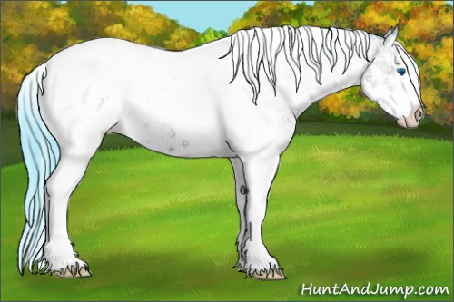 Horse Color:Watercolor Classic Champagne Ice Onyx Sabino Splash Tobiano