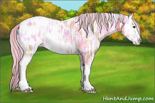 Horse Color:White Spotted Silver Sable Champagne Ice Onyx Tobiano Varnish