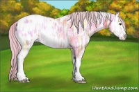 Horse Color:White Spotted Silver Sable Champagne Ice Onyx Tobiano Varnish 