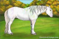 Horse Color:White Spotted Silver Classic Champagne Ice Onyx