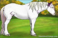 Horse Color:Painted Sable Champagne Ice Splash Tobiano Varnish 