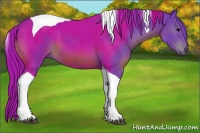 Horse Color:Watercolor Black Tobiano 