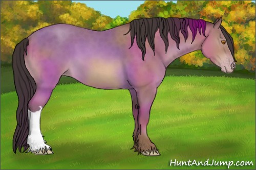 Horse Color:Sable Champagne