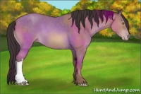 Horse Color:Sable Champagne 