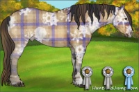Horse Color:Plaid  Bay Ice Dun 