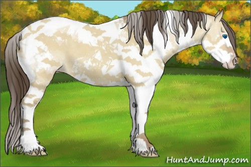 Horse Color:Classic Champagne Dun Splash Tobiano