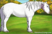Horse Color:Watercolor White Spotted Buckskin Ice Onyx Varnish 