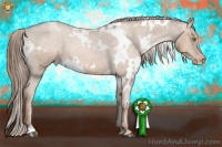 Horse Color:White Spotted Liver Chestnut Pearl Appaloosa 