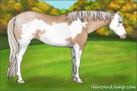 Horse Color:Silver Bay Pearl Splash Frame