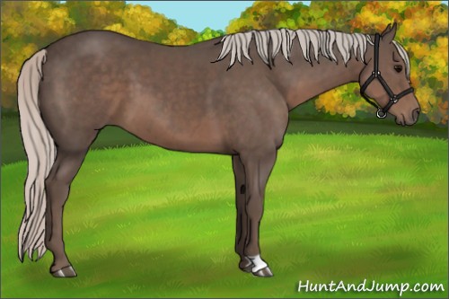 Horse Color:Silver Black 