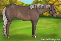 Horse Color:Silver Black 