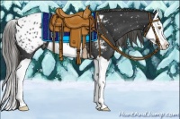 Horse Color:Smoky Black Splash Appaloosa 