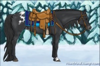 Horse Color:Black Appaloosa Rabicano 