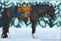 Horse Color:Black Appaloosa Rabicano 