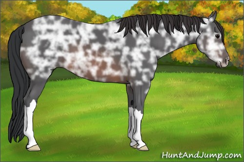 Horse Color:Brown Ice 