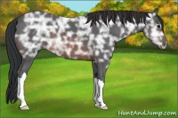 Horse Color:Brown Ice 