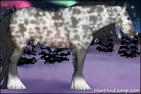 Horse Color:Brown Ice Sabino