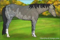 Horse Color:Brown Ice 