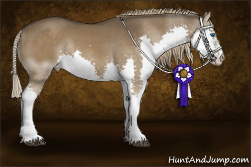 Horse Color:Liver Chestnut Sabino Splash 