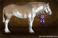 Horse Color:Liver Chestnut Sabino Splash