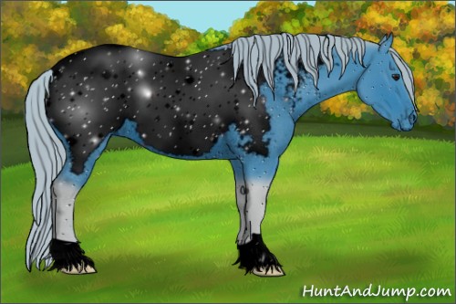 Horse Color:ERROR: UNKNOWN ANOMALY