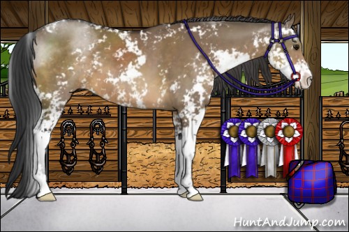 Horse Color:Brown Dun Sabino
