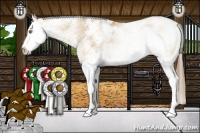 Horse Color:Brown Pearl Dun Sabino Splash Rabicano