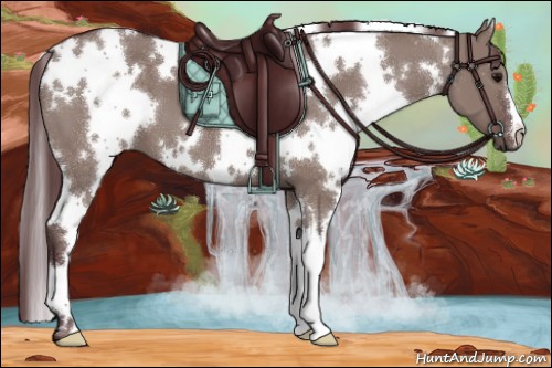 Horse Color:White Spotted Chocolate Grullo