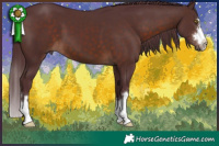 Horse Color:Chocolate Brown 