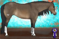 Horse Color:Brown Dun Brindle 