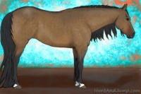 Horse Color:Brown Dun Brindle