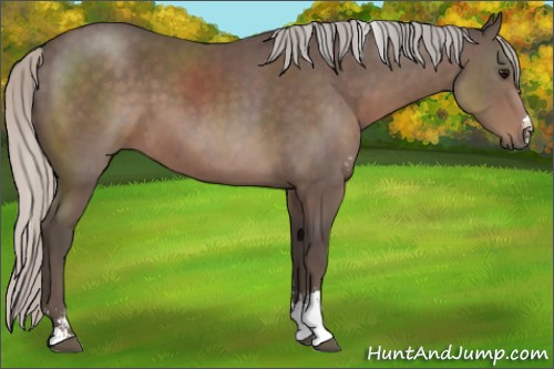 Horse Color:Silver Black Sabino