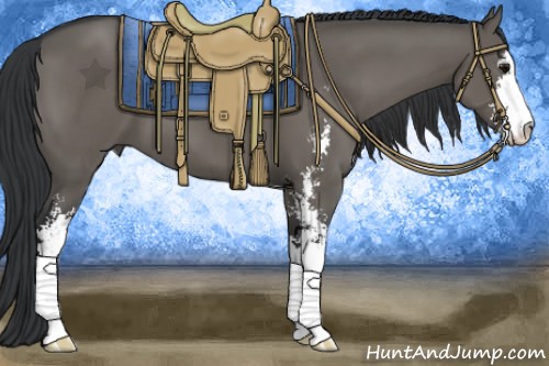 Horse Color:Grullo Sabino 