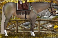 Horse Color:Silver Black 