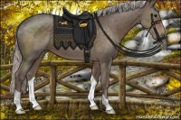 Horse Color:Silver Black 