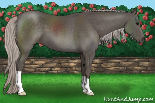 Horse Color:Silver Black 