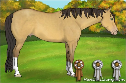 Horse Color:Sable Champagne Dun 