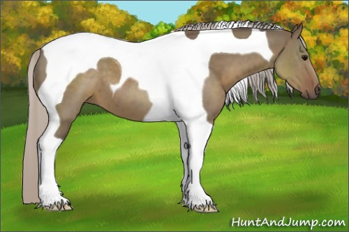 Horse Color:Silver Grullo Tobiano