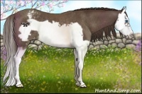 Horse Color:Liver Chestnut Splash Frame Varnish Rabicano 