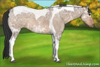 Horse Color:Brown Ice Roan Dun Tobiano