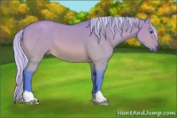 Horse Color:Watercolor Silver Bay Dun