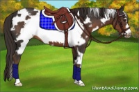 Horse Color:White Spotted Liver Chestnut Frame 