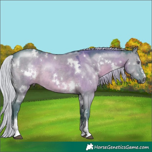 Horse Color:Watercolor White Spotted Silver Grullo Chinchilla Sabino 