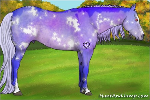 Horse Color:Watercolor White Spotted Silver Grullo Chinchilla Sabino 