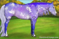 Horse Color:Watercolor White Spotted Silver Grullo Chinchilla Sabino