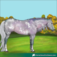 Horse Color:Watercolor White Spotted Silver Grullo Chinchilla Sabino 