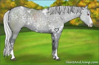 Horse Color:White Spotted Silver Grullo Chinchilla Splash 