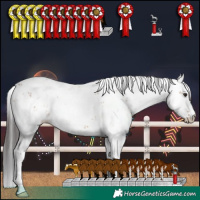 Horse Color:Brown Dun Sabino 