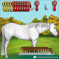 Horse Color:Brown Dun Sabino 